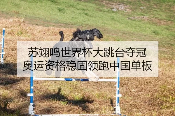 苏翊鸣世界杯大跳台夺冠 奥运资格稳固领跑中国单板
